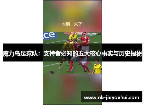 魔力鸟足球队：支持者必知的五大核心事实与历史揭秘